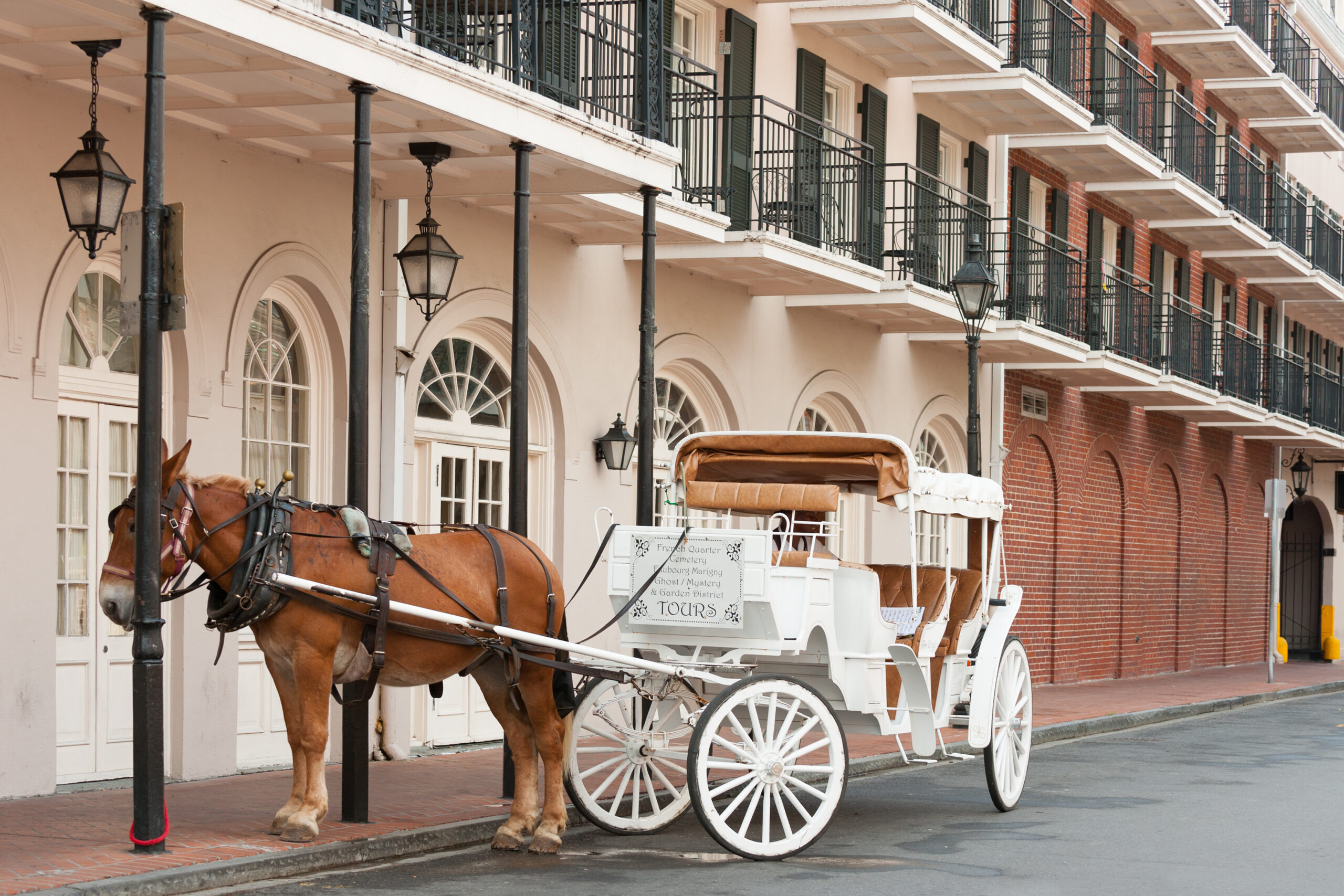 new orleans wedding