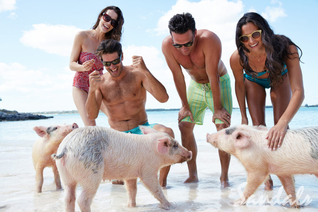 Swimming with pigs Bahamas